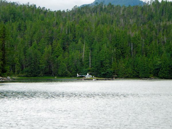 Clam Cops Rescue Cove