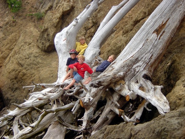 Our favorite climbing tree