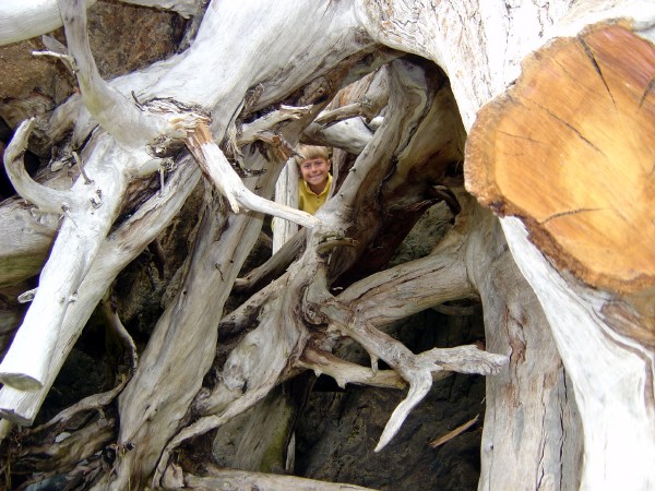 Here's Looking at You