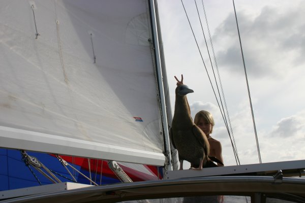 A boobie with rabbit ears, hehe