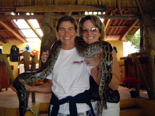 I brave the boa contrictor