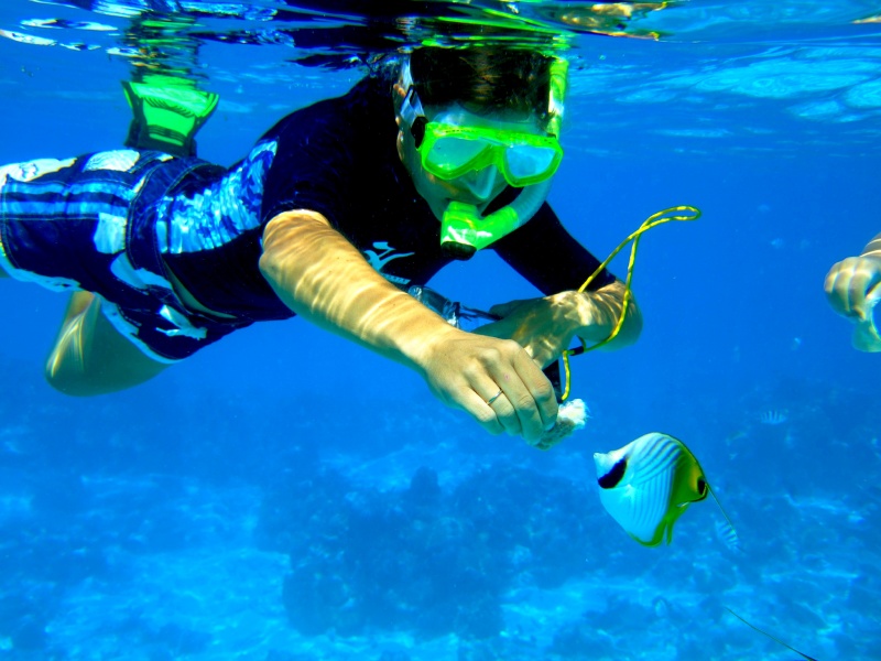 She had them eating right out of her hand.