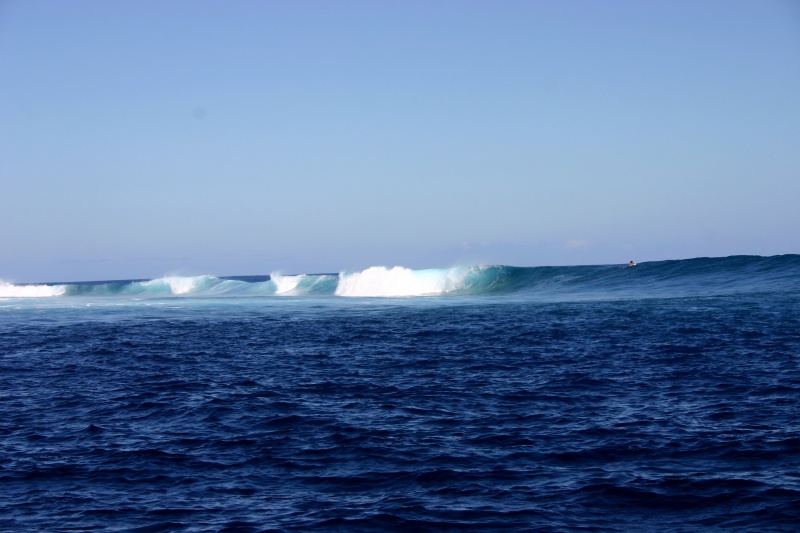 Surf boards would be great right now.